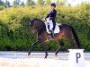 dressage horse Bloody Mary 11 (Bavarian, 2009, from Bravissimo)