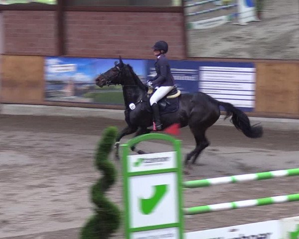 Reitturnier Hamburg-Friedrichshulde 2018