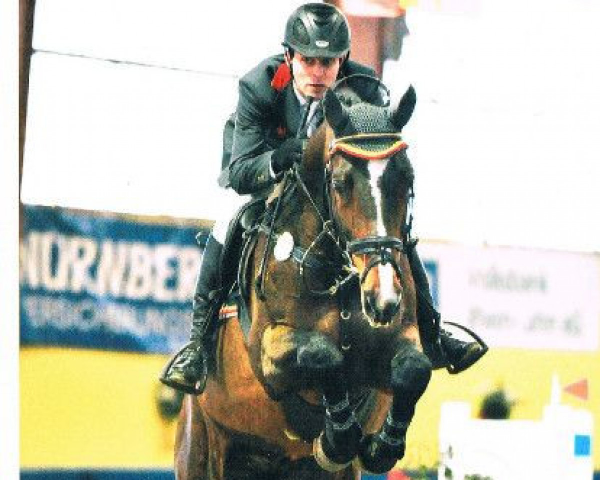 stallion Prince Browny 7 (Zweibrücken, 2001, from Power Light)