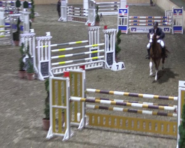 Reitturnier Hövelhof 2018