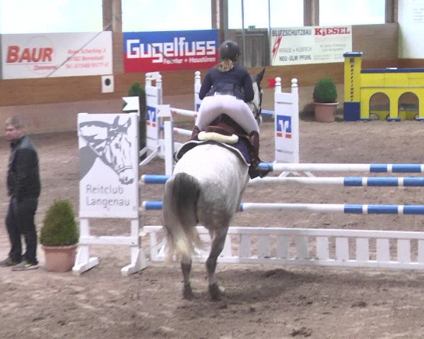 Reitturnier Langenau 2018