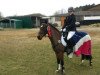 Springpferd Tara Weston Boreas (Deutsches Reitpony, 1995, von Boreas Winston)