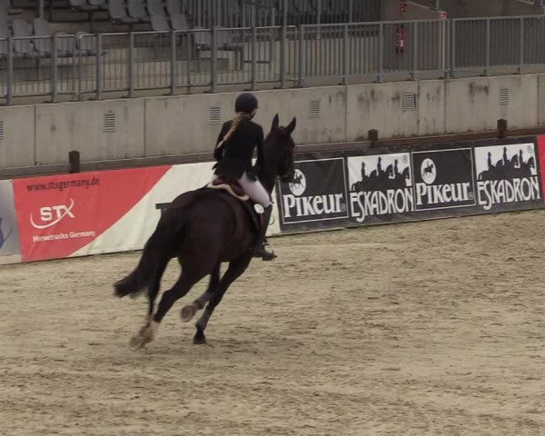 Reitturnier Westergellersen 2021