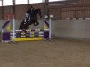 jumper Le Don (German Sport Horse, 2012, from Lyjanero)