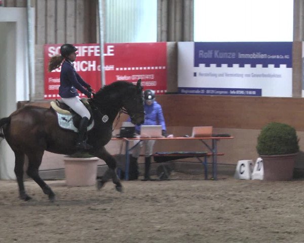 Reitturnier Langenau 2018