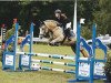 jumper Magic's Lady V.d. Janshoeve (Haflinger, 2009, from Master)