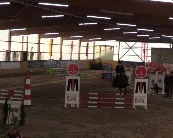 Reitturnier Pausin 2018