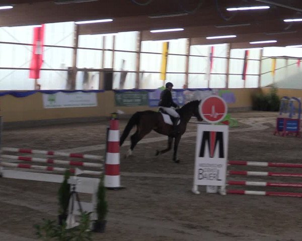 Reitturnier Pausin 2018
