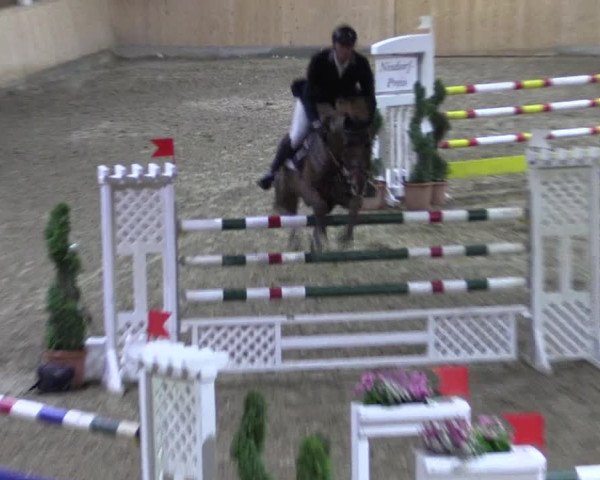 Reitturnier Hövelhof 2018