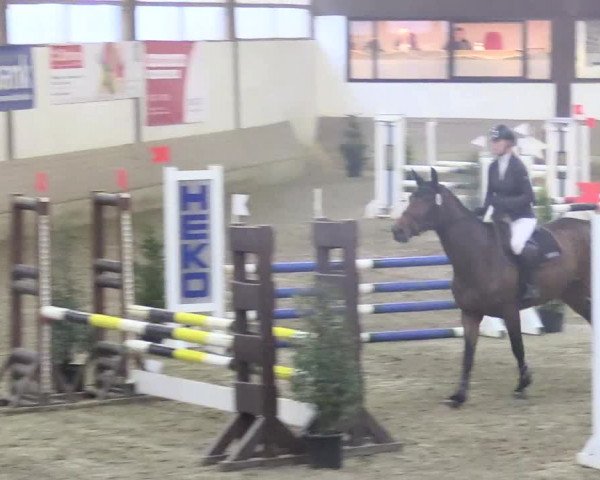 Reitturnier Vlotho-Valdorf 2018