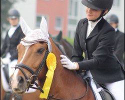 dressage horse Diabolo-Z (German Riding Pony, 2005, from Prinsenhof's Dino)