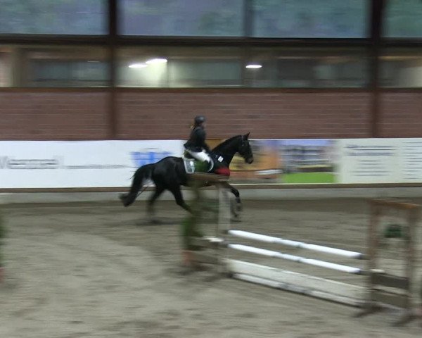 Reitturnier Hamburg-Friedrichshulde 2018
