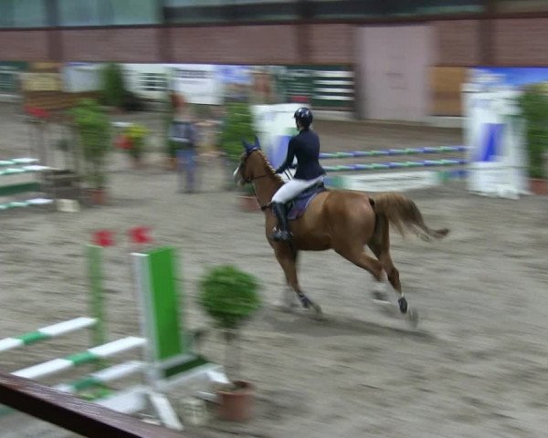 Reitturnier Hamburg-Friedrichshulde 2018