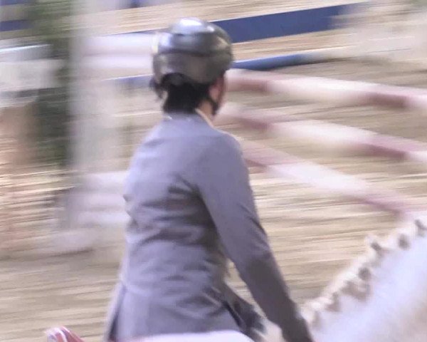 Reitturnier Vlotho-Valdorf 2018