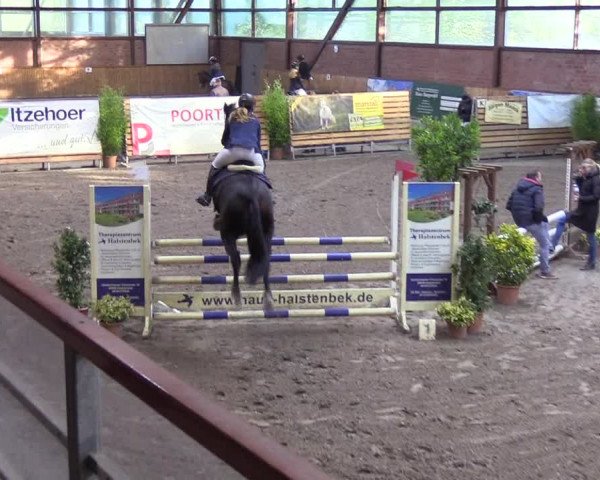 Reitturnier Hamburg-Friedrichshulde 2018