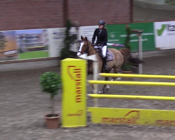 Reitturnier Hamburg-Friedrichshulde 2018