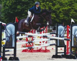 jumper Abadan (KWPN (Royal Dutch Sporthorse), 2005)