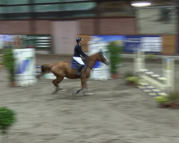 Reitturnier Hamburg-Friedrichshulde 2018