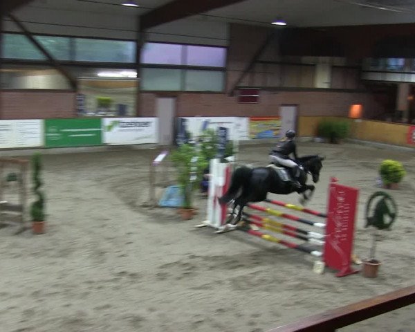 Reitturnier Hamburg-Friedrichshulde 2018