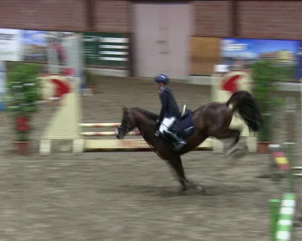 Reitturnier Hamburg-Friedrichshulde 2018