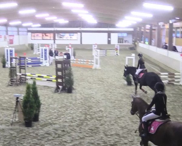 Reitturnier Vlotho-Valdorf 2018