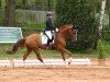 dressage horse Sans Souci CS (Westphalian, 2009, from Schumacher)