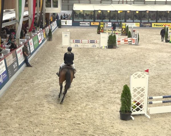 Pferdesporttage Oberriet 2018