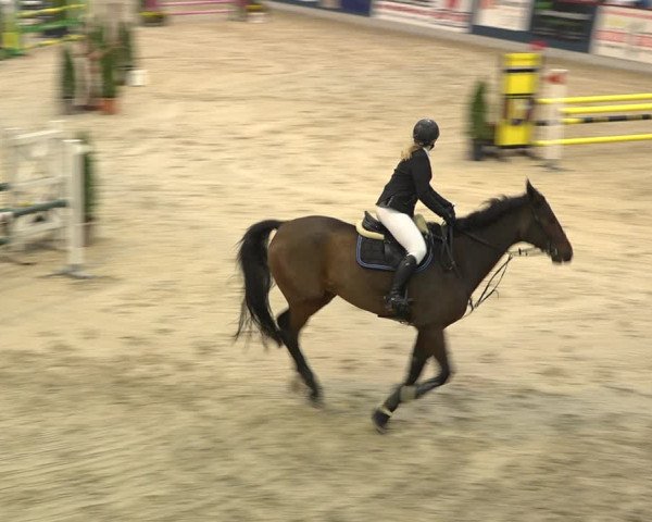 Pferdesporttage Oberriet 2018