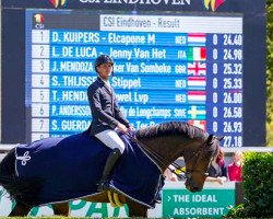 jumper Elcapone M (KWPN (Royal Dutch Sporthorse), 2009, from Baloubet du Rouet)