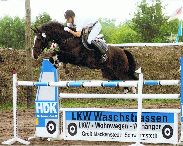 jumper Lusitano 7 (Hanoverian, 2002, from Le Primeur)