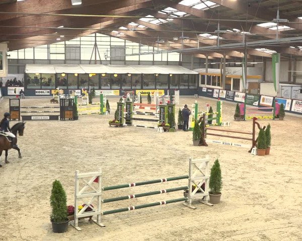 Pferdesporttage Oberriet 2018