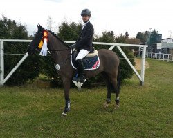 jumper Blueberry 23 (German Riding Pony, 2009)