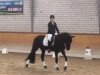 dressage horse Witchy 4 (German Warmblood, 1994, from Unbekannt)