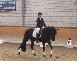 dressage horse Witchy 4 (German Warmblood, 1994, from Unbekannt)