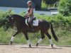 broodmare Echte Esprit (Elaiza) (Trakehner, 2010, from El Greco)