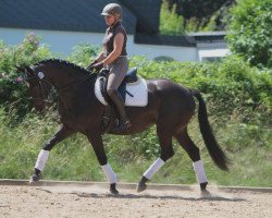 broodmare Echte Esprit (Elaiza) (Trakehner, 2010, from El Greco)