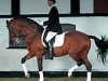 dressage horse Churchill (Holsteiner, 1989, from Cicero)