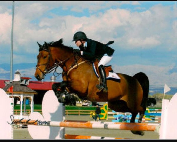 broodmare Safira 9 (Bavarian, 2001, from Caretello B)