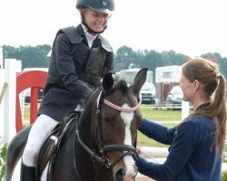 Zuchtstute Alsterlaune (Deutsches Reitpony, 2007, von Hilkens Black Delight)