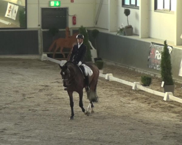 Reitturnier Mönchengladbach-Abtshof 2018