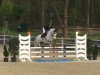 jumper Gatersina (KWPN (Royal Dutch Sporthorse), 2011, from Bugatti VDL)