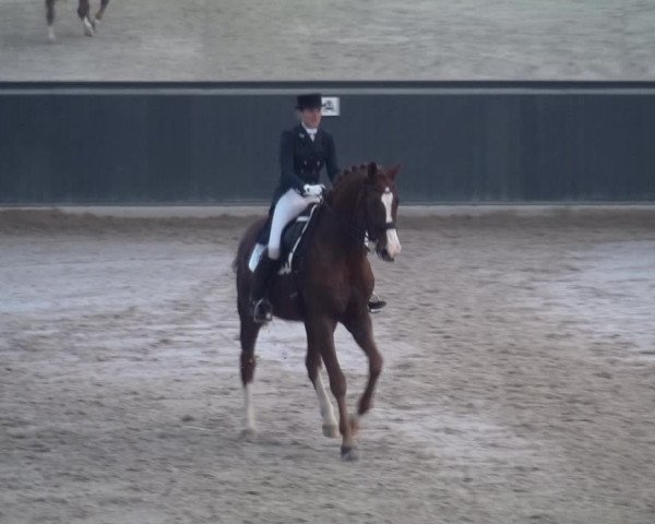 Reitturnier Mönchengladbach-Abtshof 2018