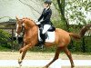 dressage horse Petite Fleur 149 (Westphalian, 2006, from Peking)