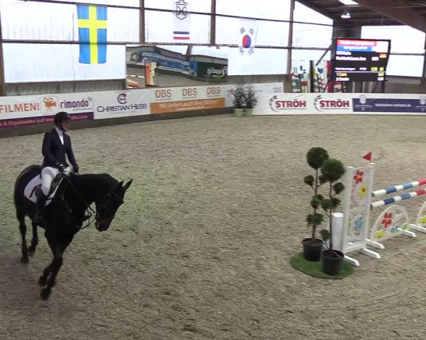 Nordic Jumping events 2018