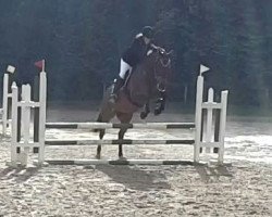 jumper Bodylia (KWPN (Royal Dutch Sporthorse), 2006, from Cavalier)