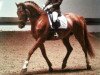 dressage horse Remember me now (Hanoverian, 2004, from Rosario 37)