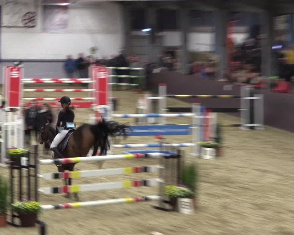 Reitturnier Legden 2018