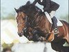 stallion Hamar (KWPN (Royal Dutch Sporthorse), 1989, from Mytens xx)