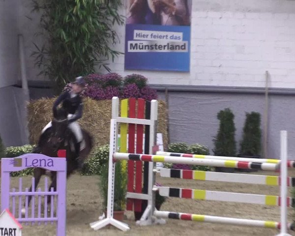 Reitturnier Legden 2018