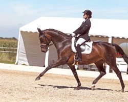 dressage horse Fleurielle (Westphalian, 2003, from Floresco NRW)